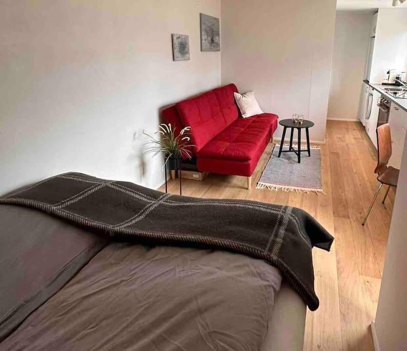 Studio Apartment Reykjavik City Center Exterior foto
