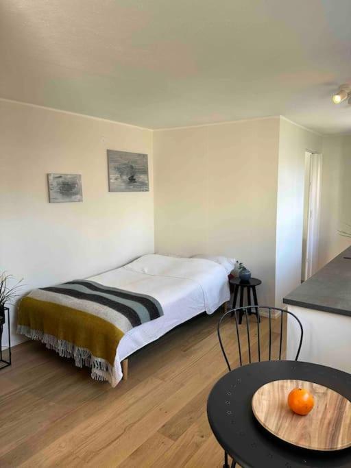 Studio Apartment Reykjavik City Center Exterior foto